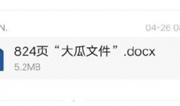 娱乐圈吃瓜文件824,揭秘824事件背后的真相与内幕